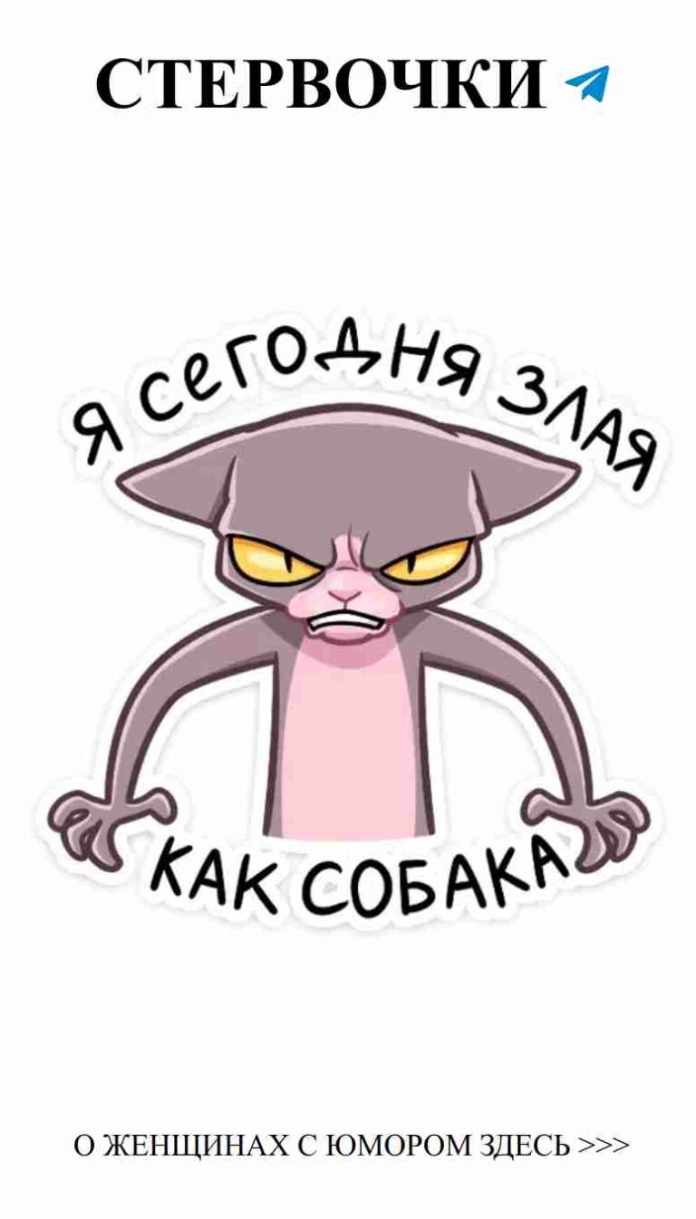 Когда коты проявляют любовь с помощью гнева