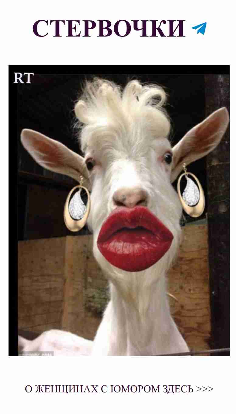 Коза с яркими губами: смешные моменты о любви и стиле