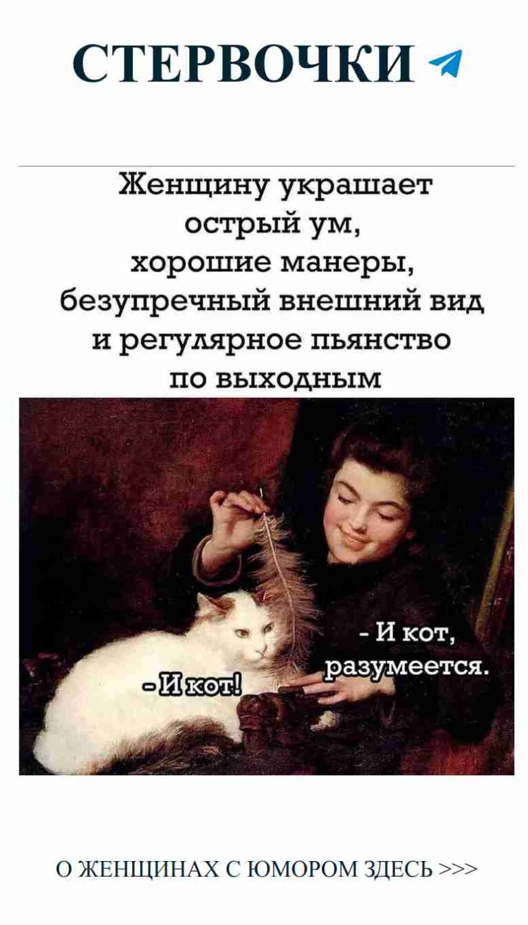 Когда любовь встречает черного кота