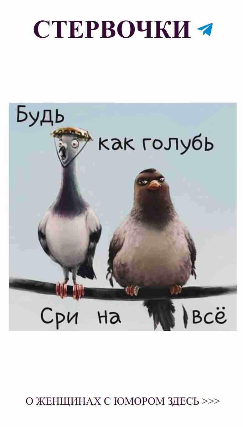 Две птицы на ветке: о любви с юмором и стилем