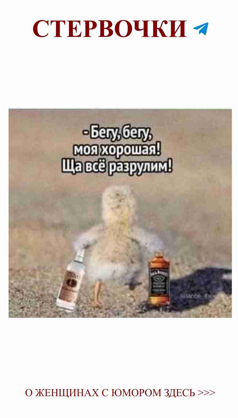 Когда любовь на диете, а пиво рядом