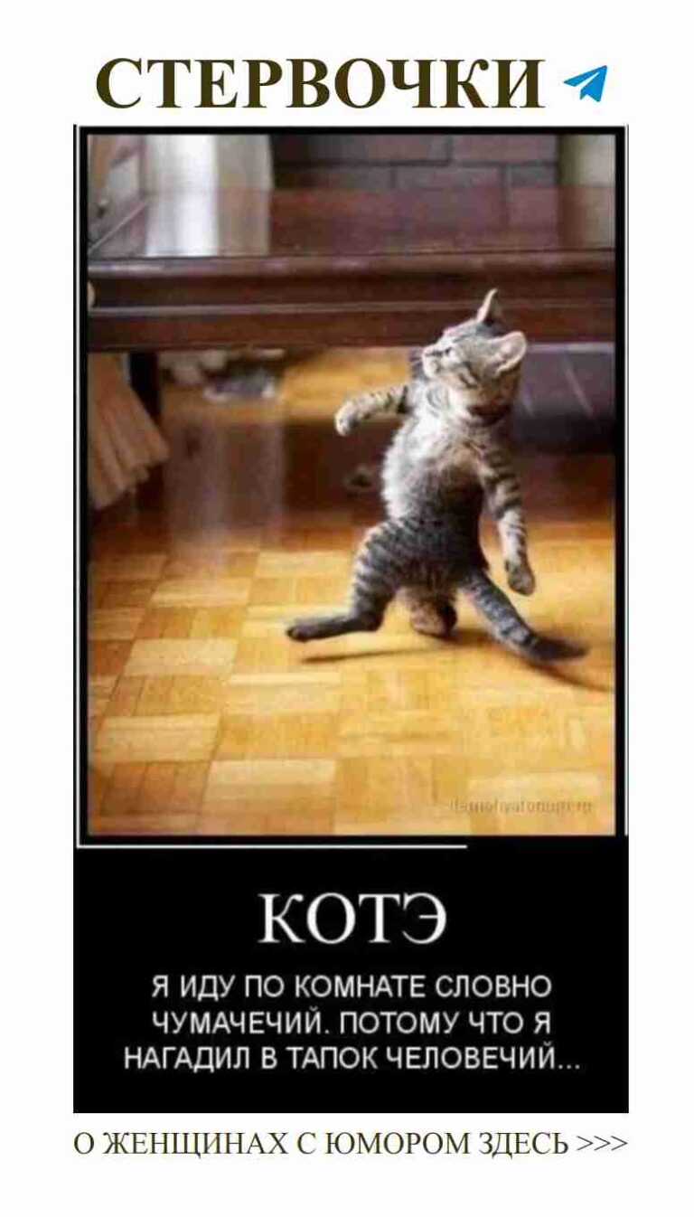 Любовь с юмором: когда смех помогает выжить в отношениях