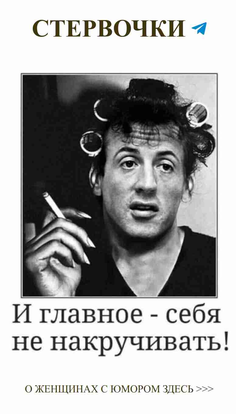 Улыбнись! Забавные цитаты о любви и кошках для тебя