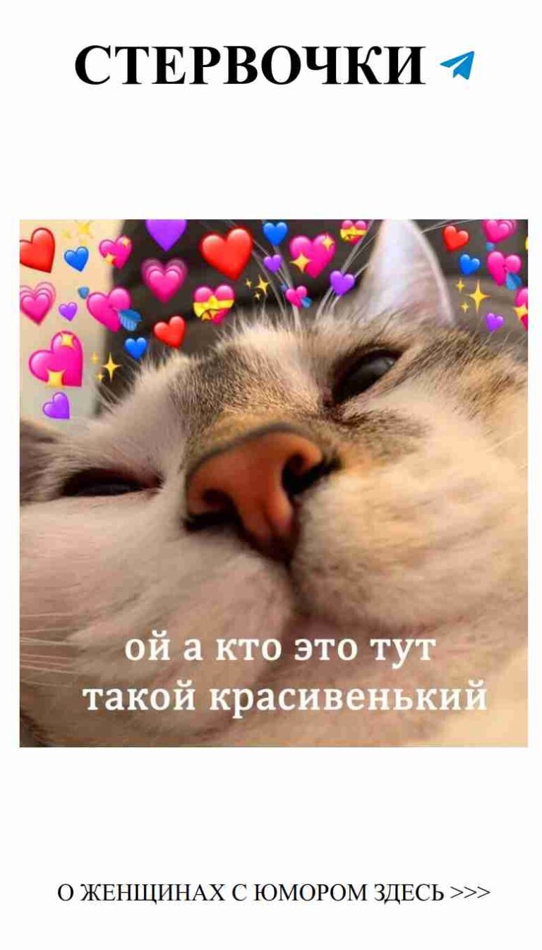 Котик сны видит, а сердце – ликует от любви