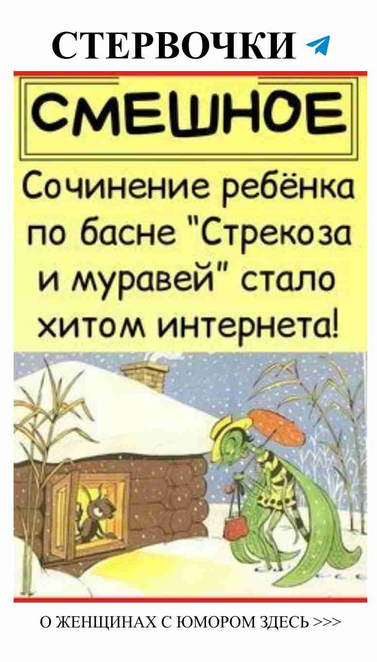 Смешные моменты о любви собак и зимних шутках