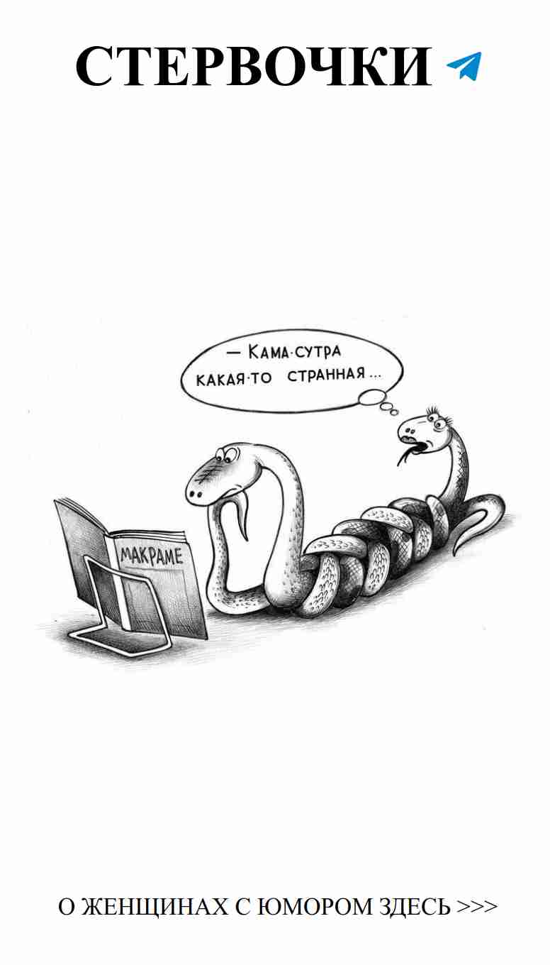 Змея и книга: любовные мысли с юмором