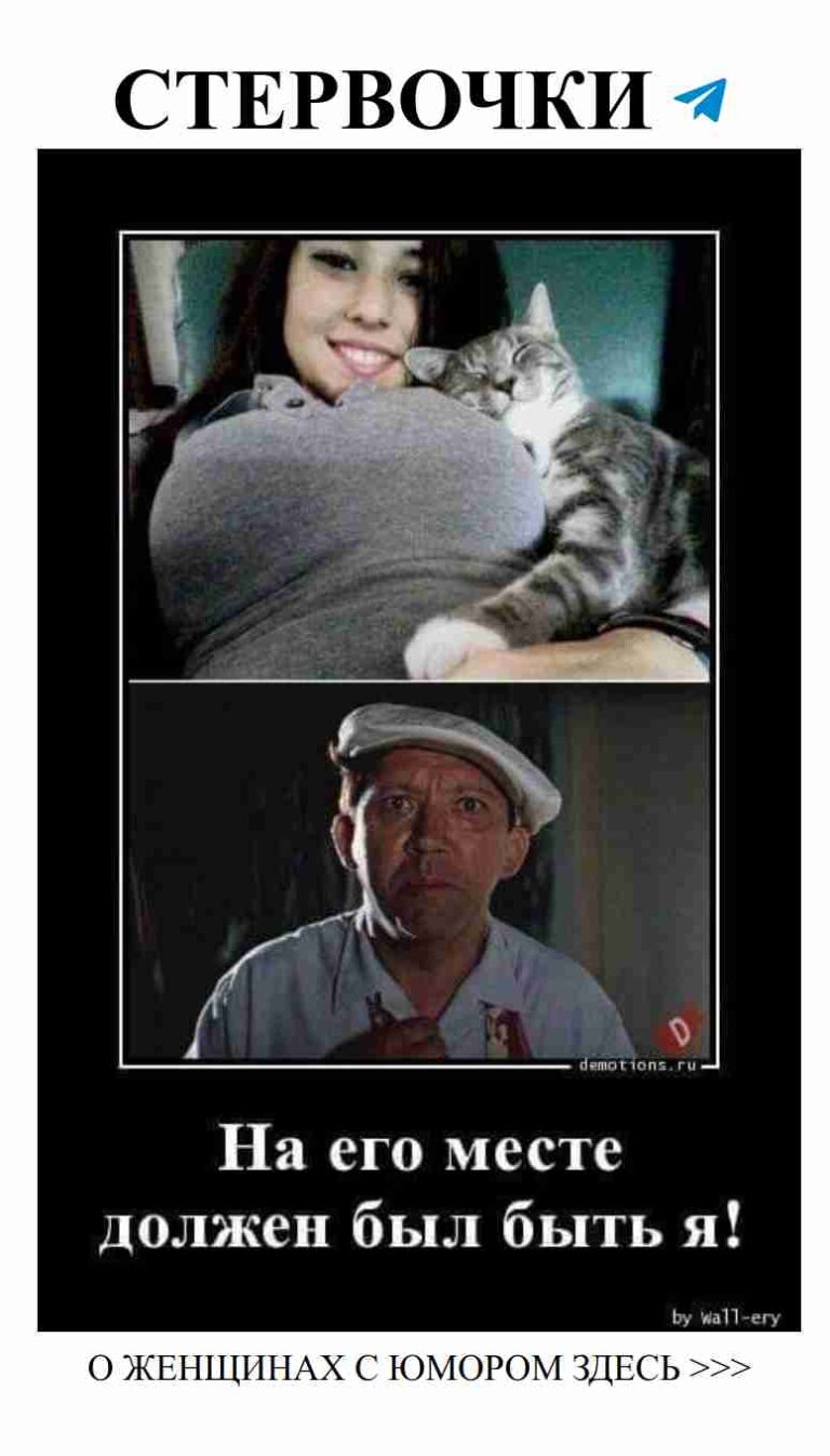 Любовь, юмор и кот: странная пара в душе