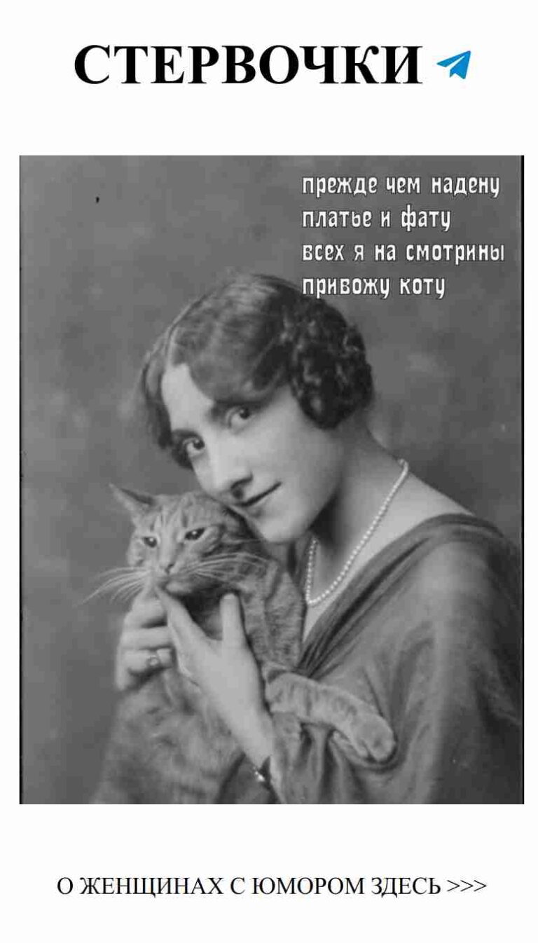 С днем рождения! Смех, любовь и коты в обнимку