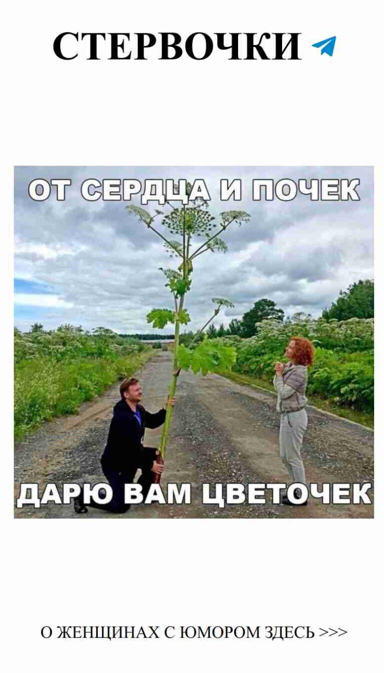 Тот момент, когда любовь и растения требуют внимания