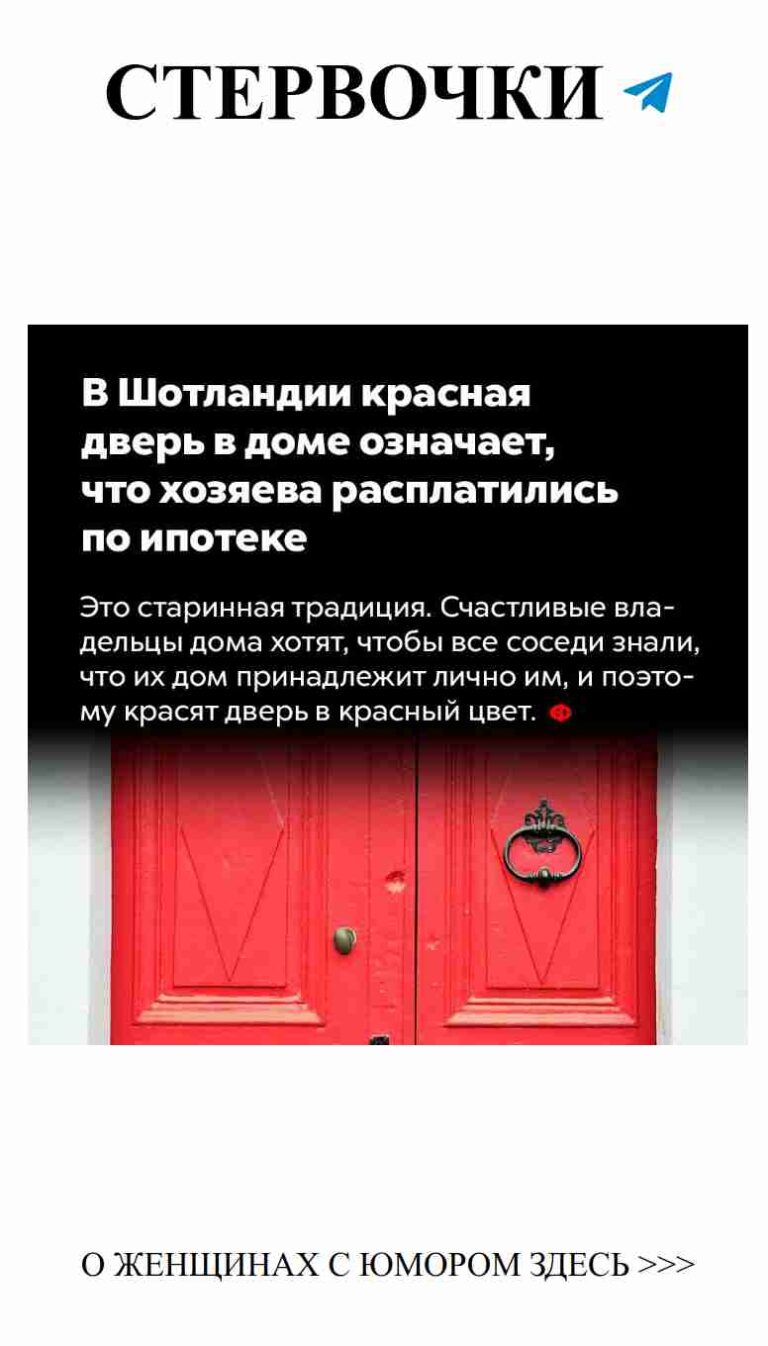 Смешные факты о любви и загадочные черные кошки