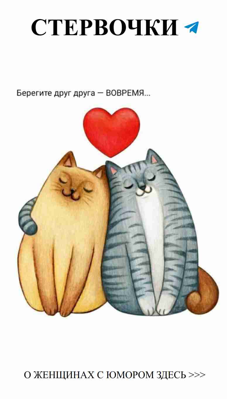 Любовь котиков: как эти милые пушистики покоряют сердца