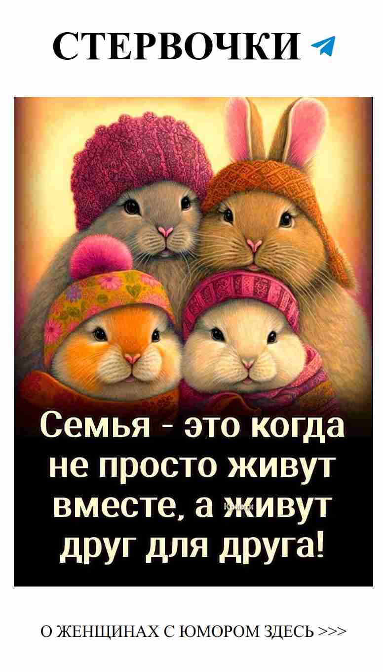 Смешные зайцы поднимут настроение и обогреют сердце