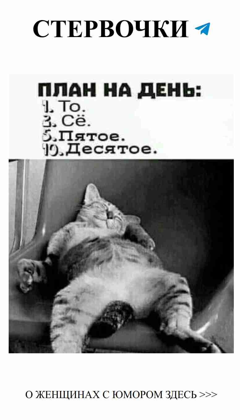 Кот на кресле: идеальный друг для ваших романтических моментов