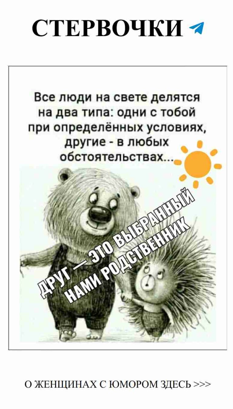 Смешные цитаты о любви и жизни с медведями