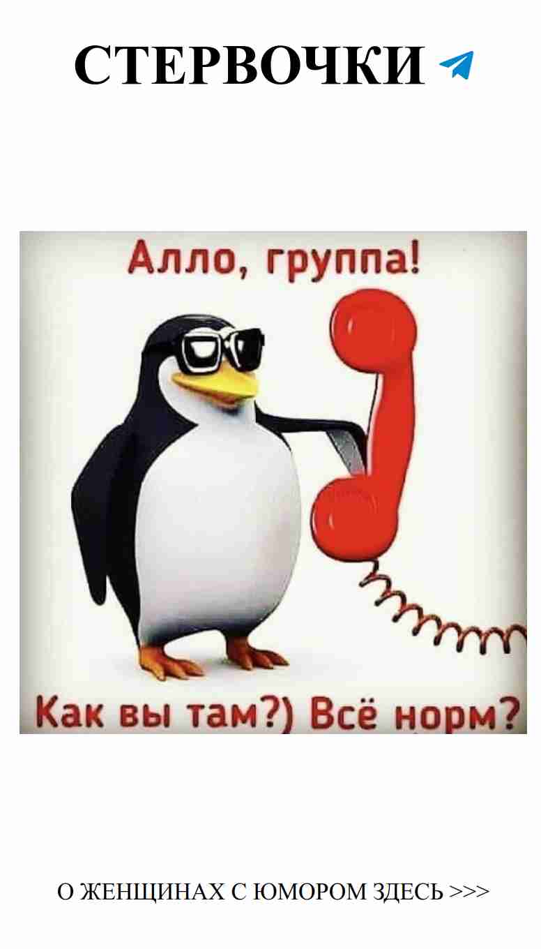 Пингвин с красным телефоном: Забавные поздравления для Босси