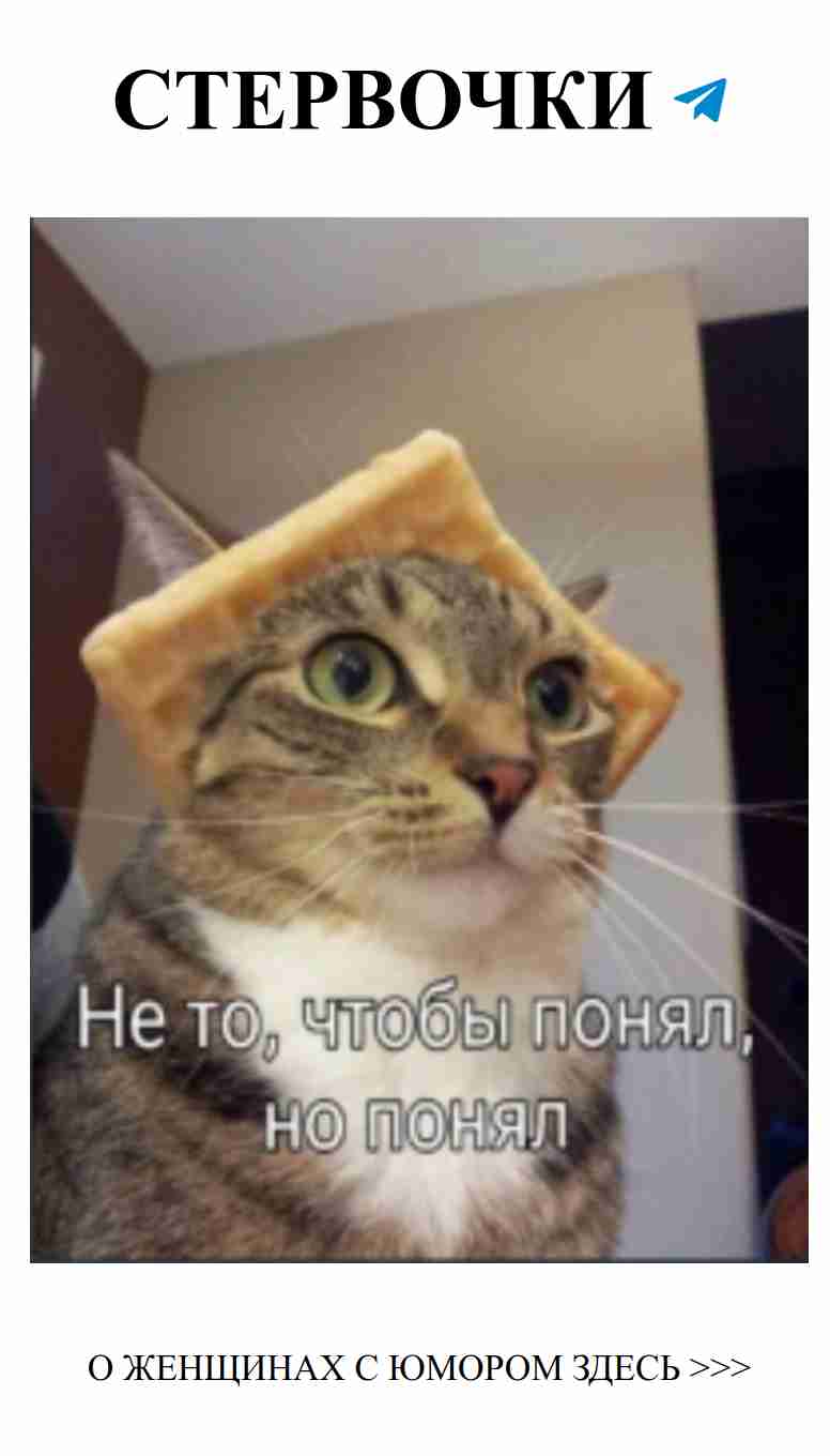 Смешные моменты любви, которые заставят вас улыбнуться