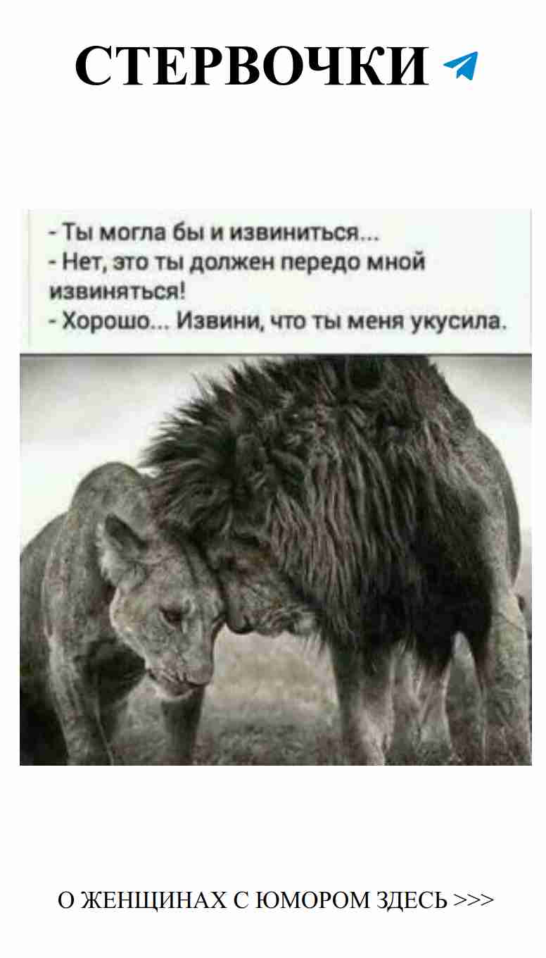 Любовь животных: смешные моменты веселья и юмора