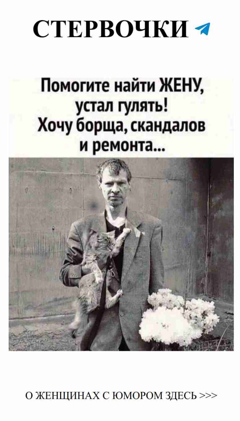 Извинения от мужчины с мурлыкой: любовь и юмор