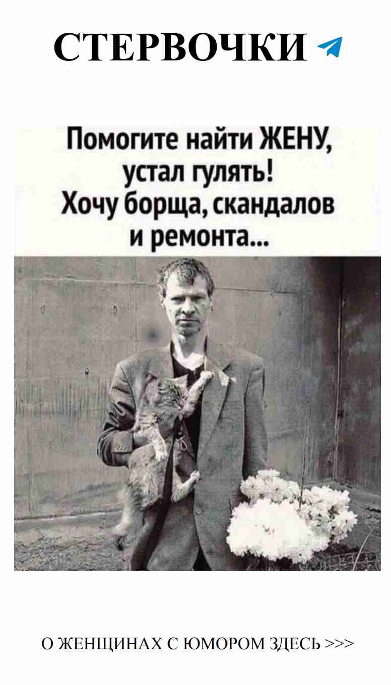 Извинения от мужчины с мурлыкой: любовь и юмор