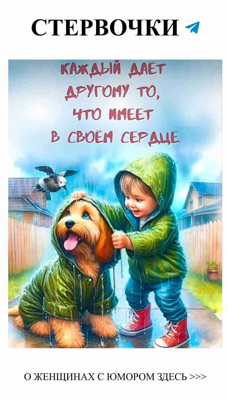 Мальчик, собака и зонт: как тогда не любить дождь