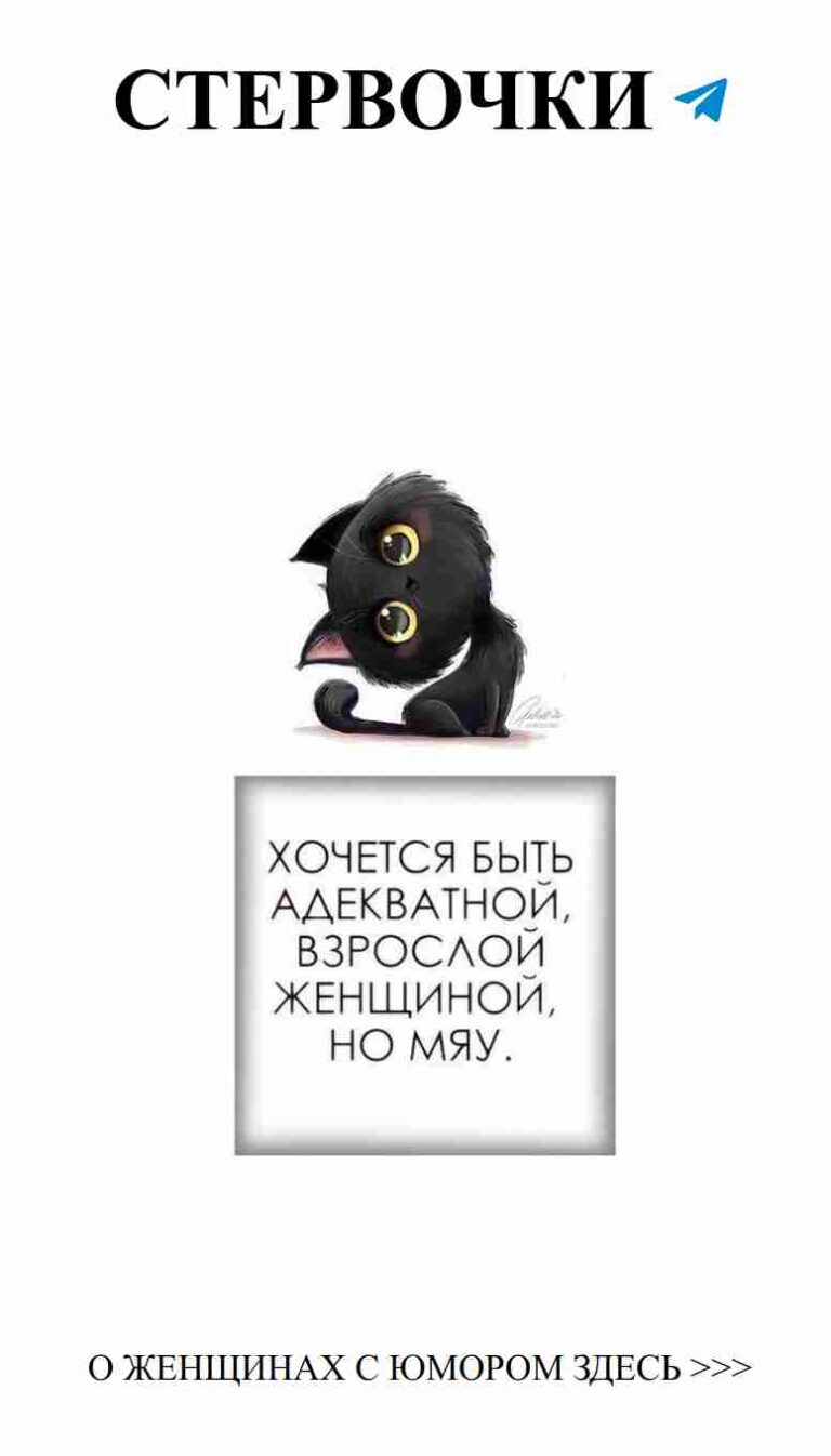 Черная кошка с глазами, полными загадок и любви