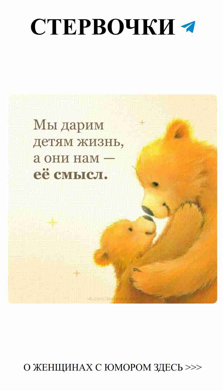 Когда любовь обнимает, даже медведи становятся милыми