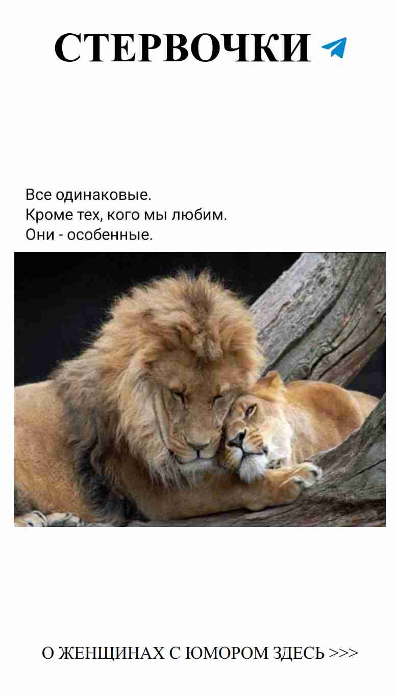 Как выбрать между двумя львами любви