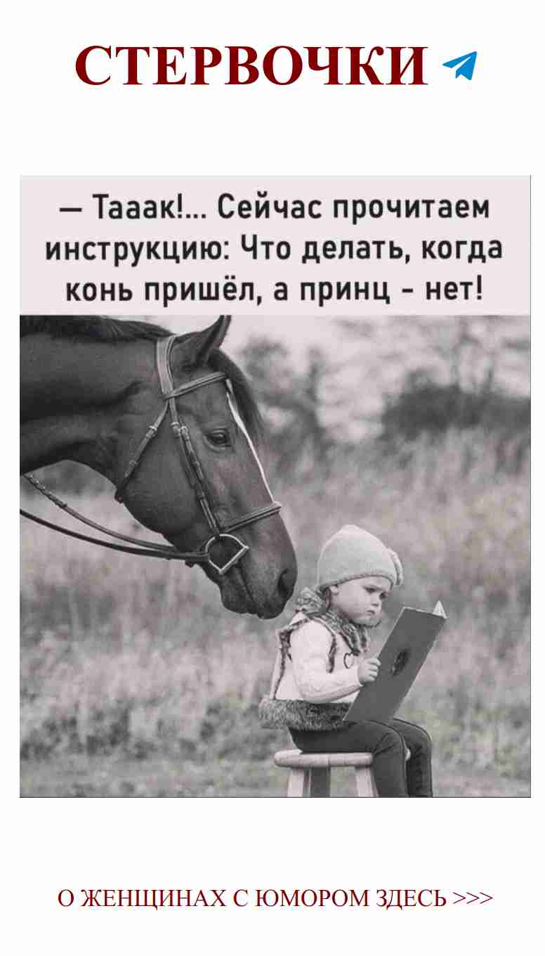 Любовь и смех: как большие лошади могут рассмешить нас