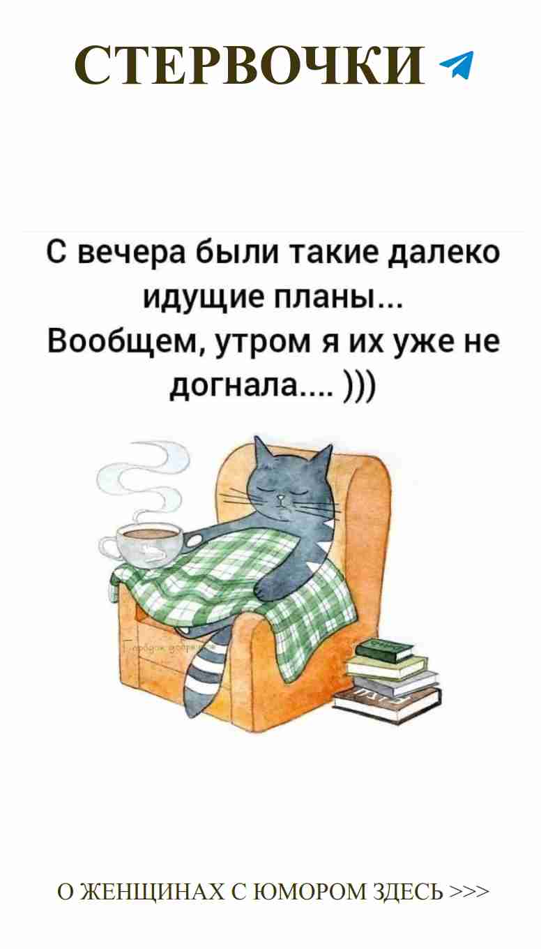 Кот, кофе и смешные поздравления с днем рождения