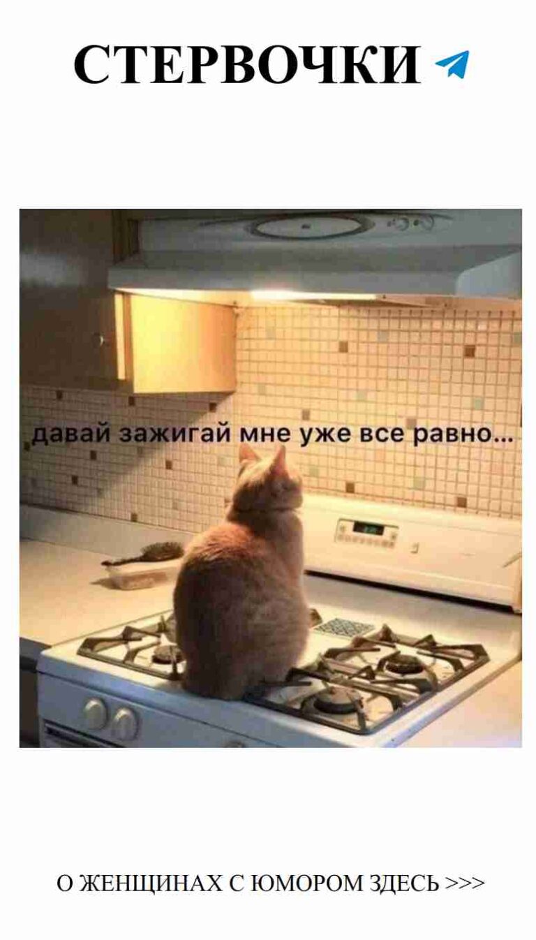 Любовь и смех: как женский юмор делает жизнь ярче