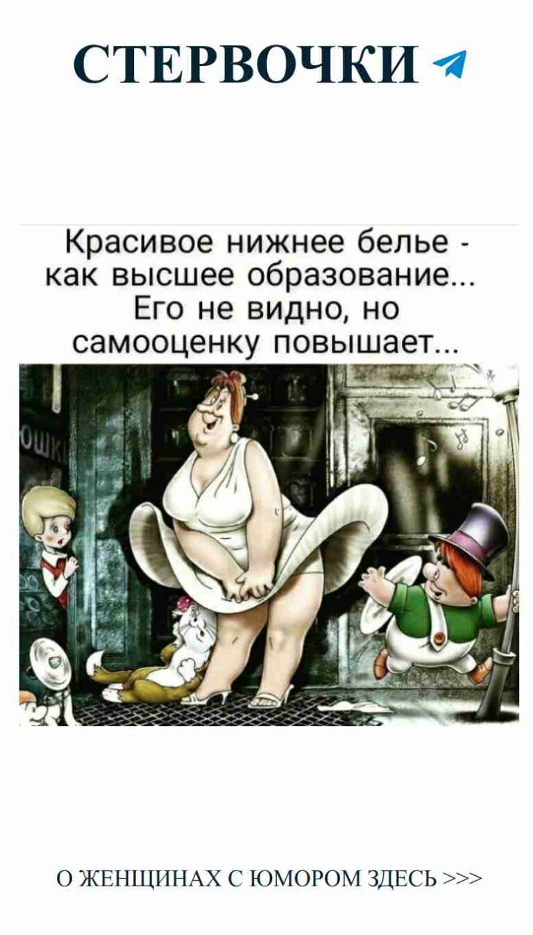 Почему ты сидишь на унитазе? Поиск любви и юмора