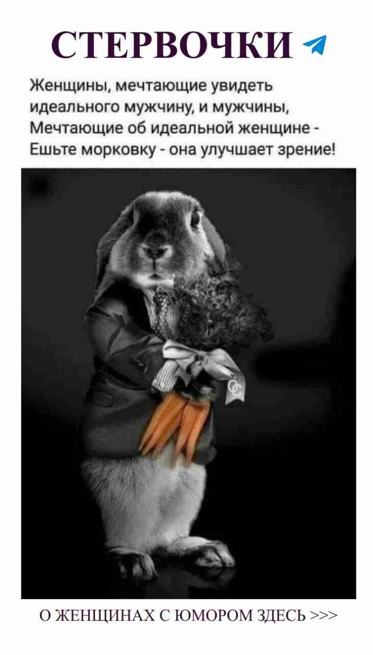 Когда жизнь дарит морковки, хотя ты не просила их