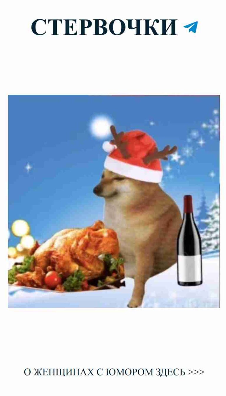 Собака в шапке Санты: самый милый новогодний момент