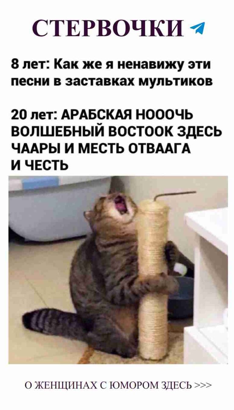 Когда кот хочет внимания, но сосредоточен на своем удовольствии