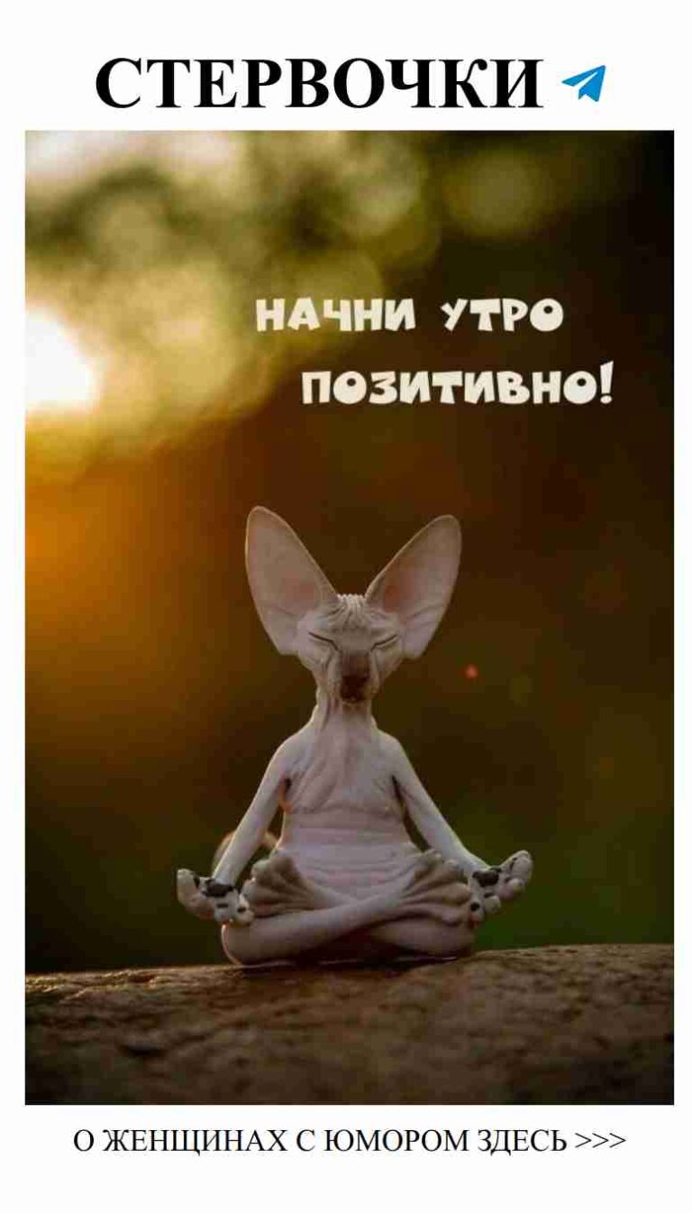 Несмотря на все, любовь всегда может заставить нас улыбнуться