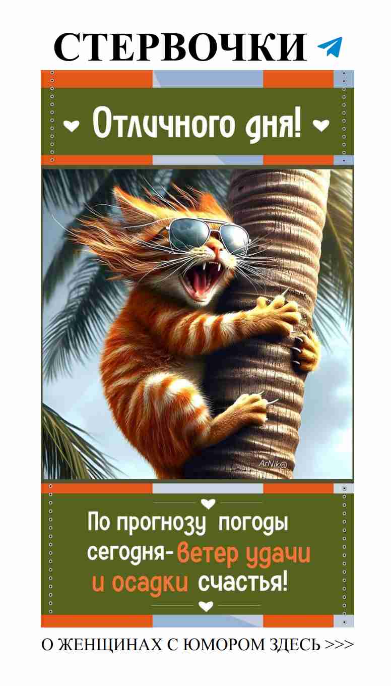 Любовь и смех: как найти свою вторую половинку с улыбкой