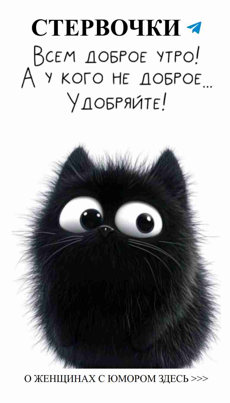 Когда твой кот знает, как сделать утро веселее