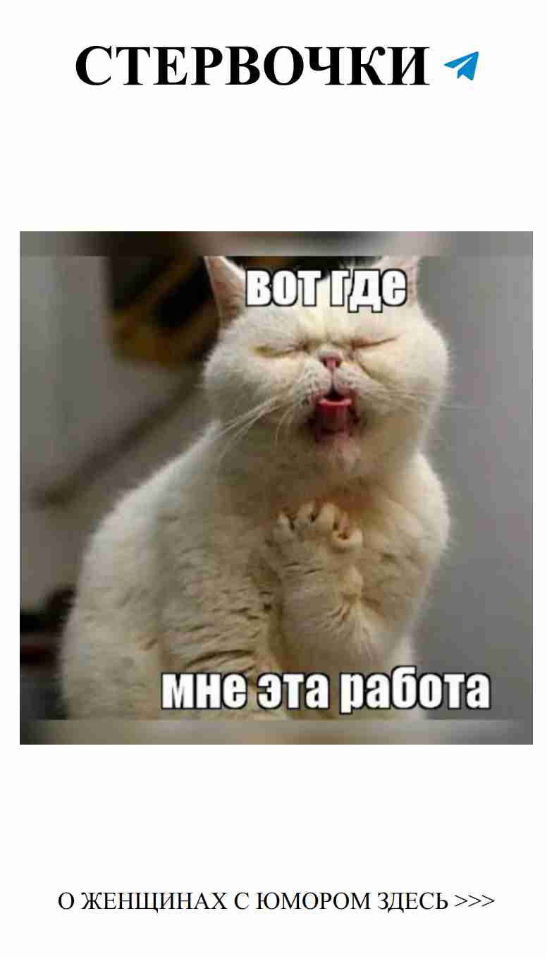 Когда ты понимаешь, что любовь может быть только с котом