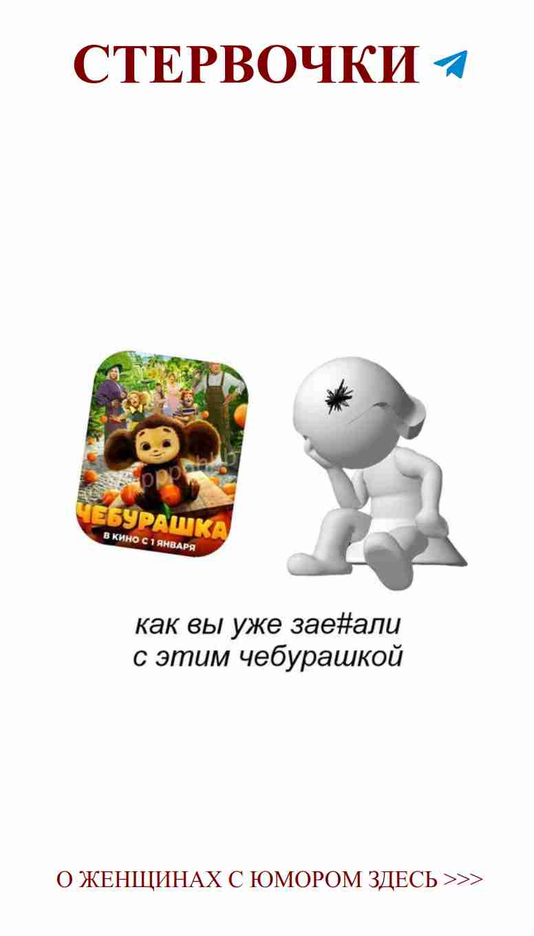 Когда твой медведь не такой милый, как ты думала