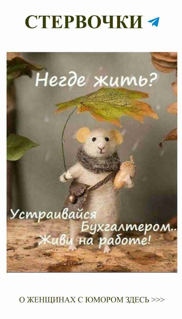 Летний дождик и милая мышка: вот она, осень любви