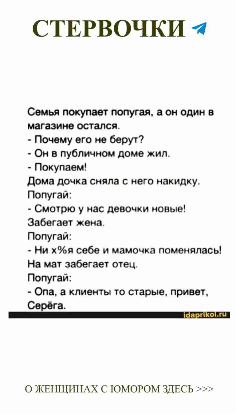 Любовь и смех: как женский юмор спасает в трудные времена