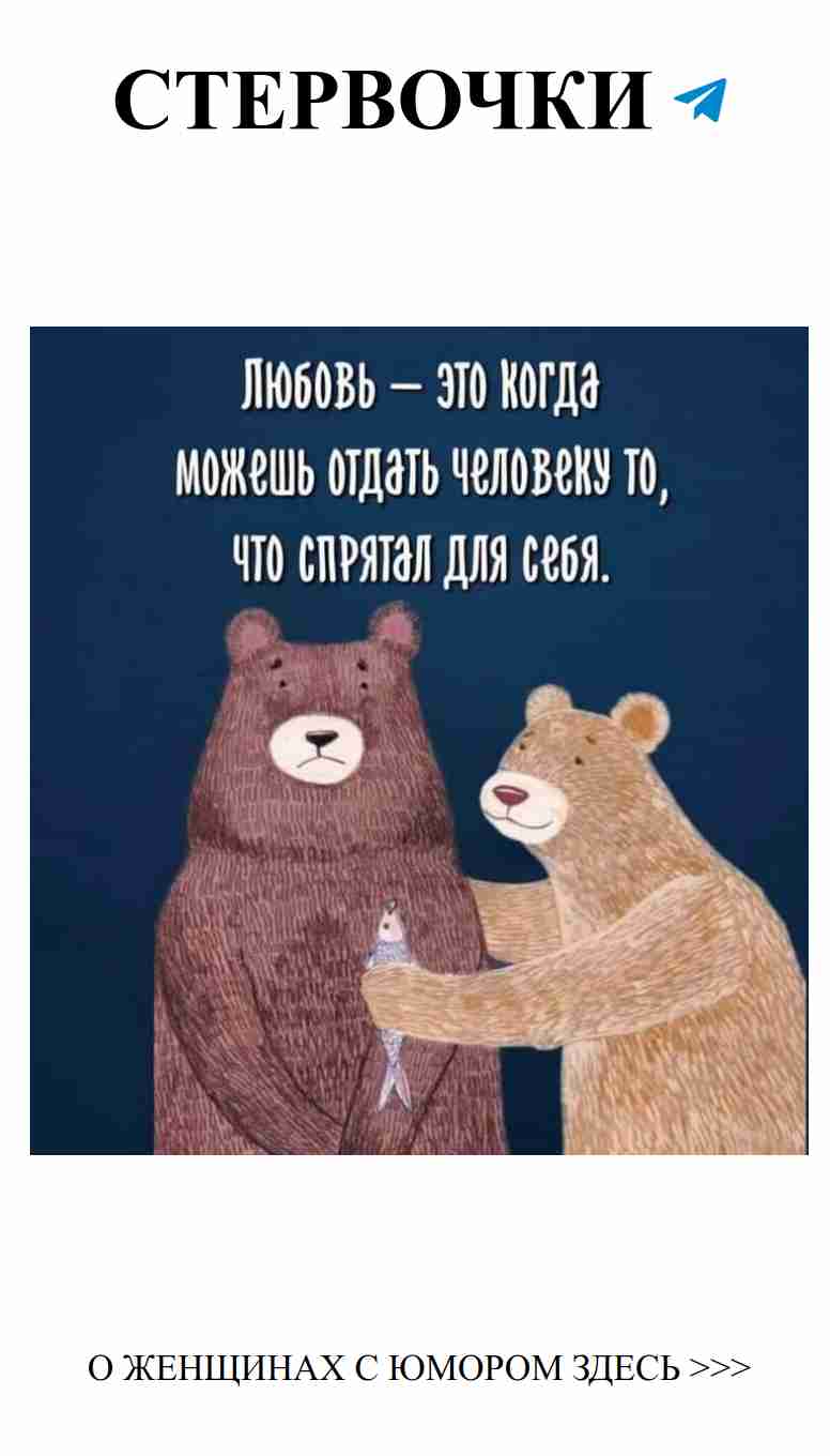 Два медведя и смешные мысли о любви на день рождения