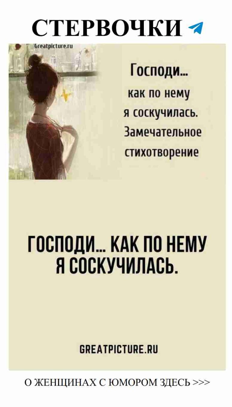 Смешные цитаты о любви: жизнь женщины у окна