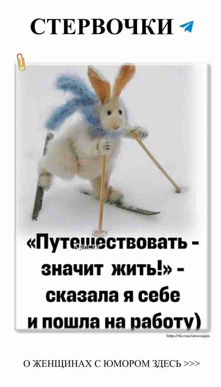 Заяц на лыжах: любовь и хороший юмор на утро