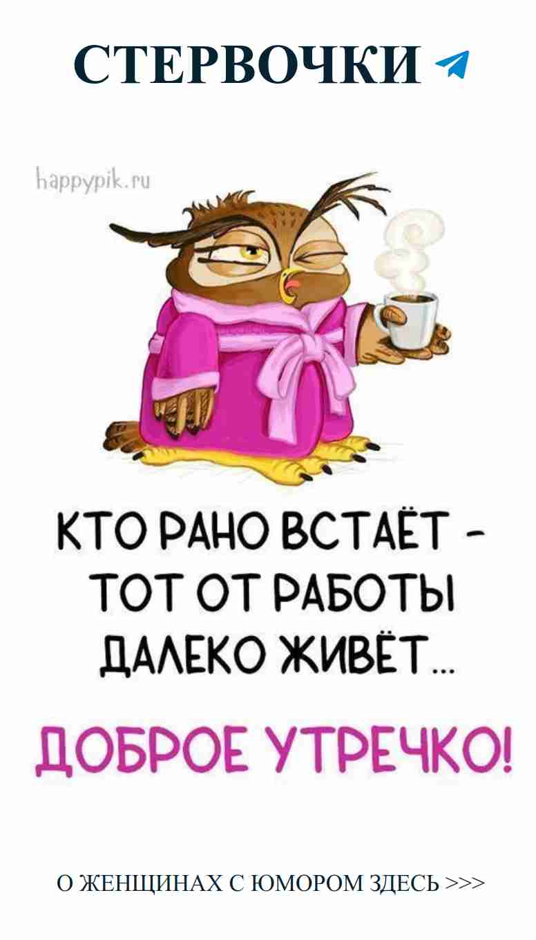 Сова с кофе: Улыбнись, любовь приходит с утренним напитком