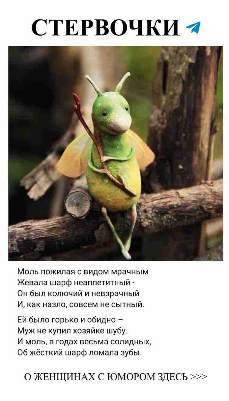 Любовь и смех: самые забавные истории о сердечных делах