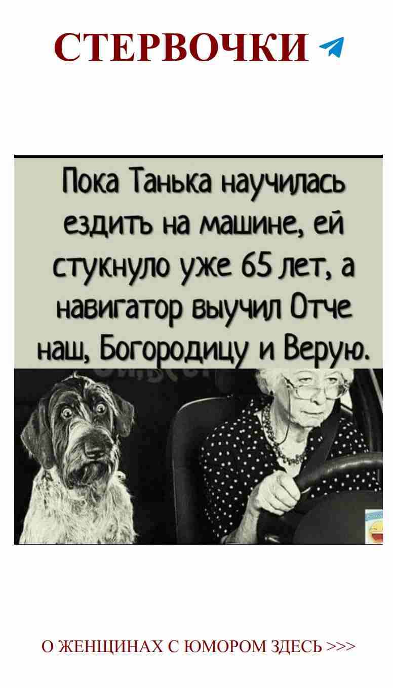 Смешные моменты о любви для бабушек и их собак