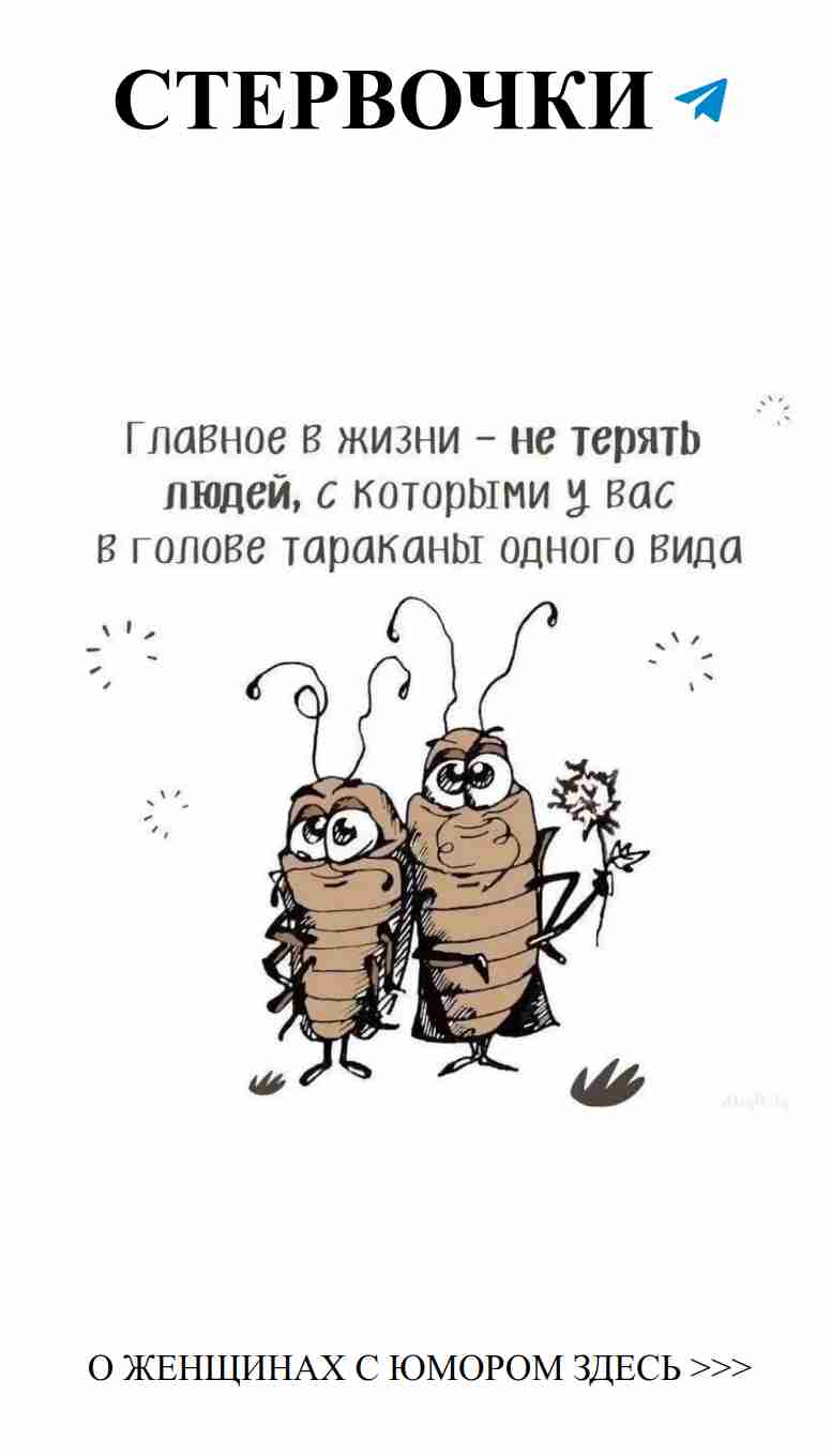 Любовь между букашками цветет даже в шутках