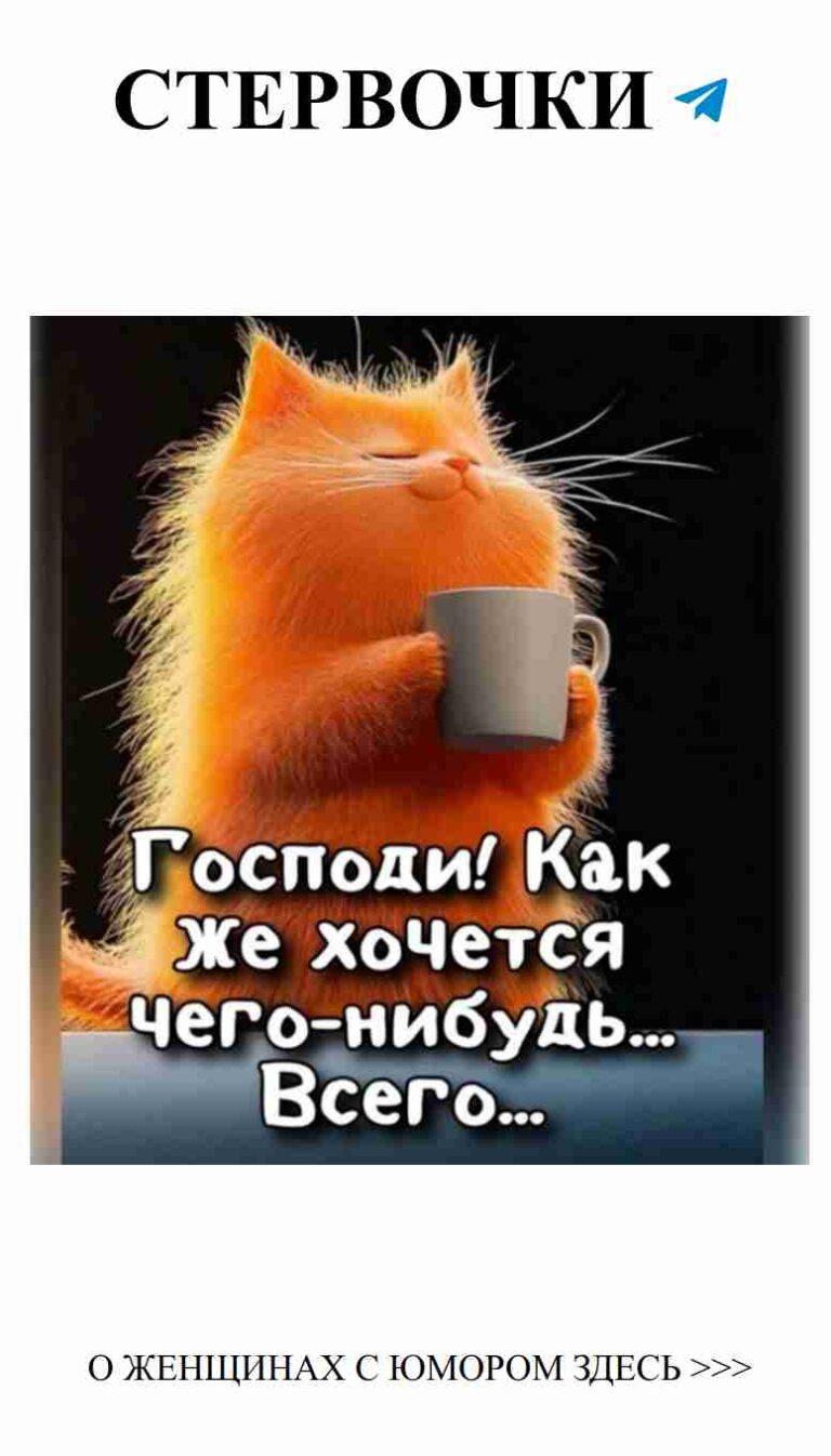 Почему бы не поднять стакан кофе, если у тебя есть кошка