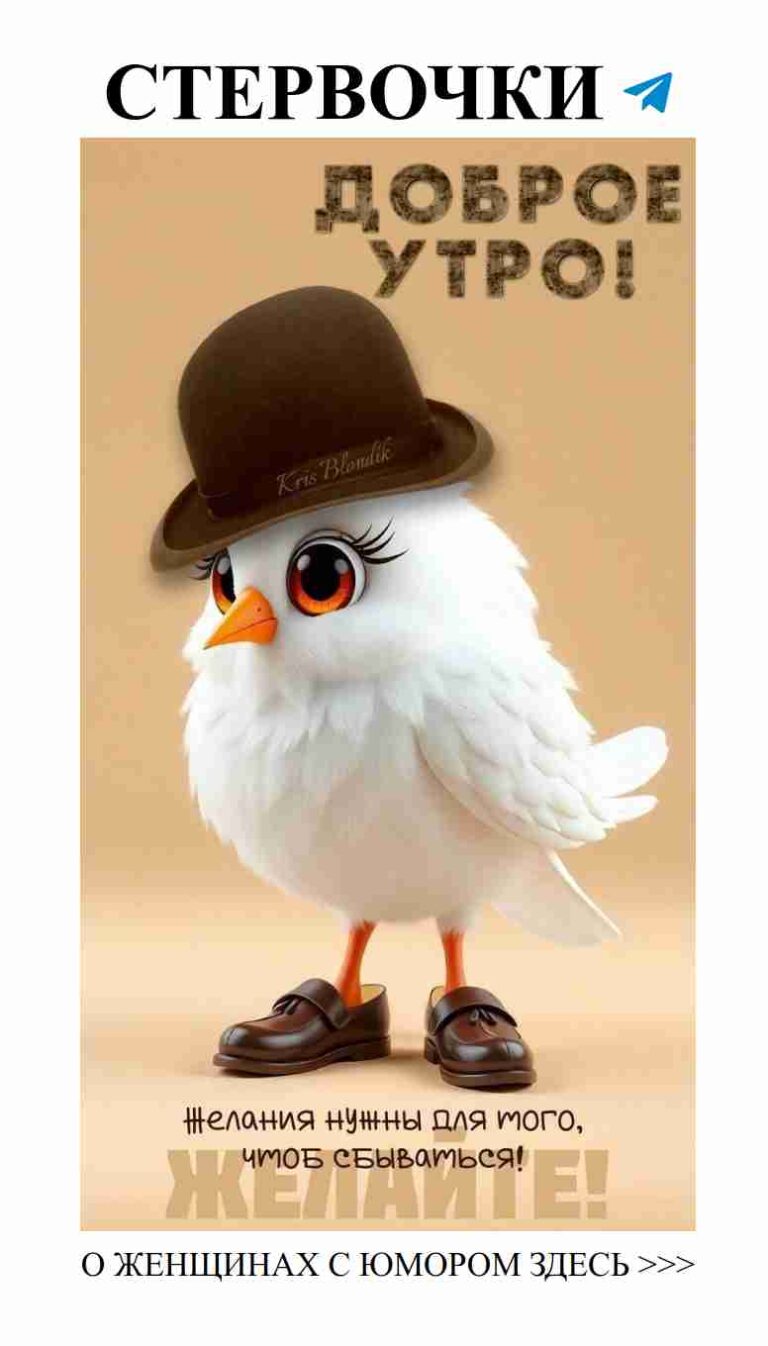 Смешные открытки о любви: птица в шляпе для настроения